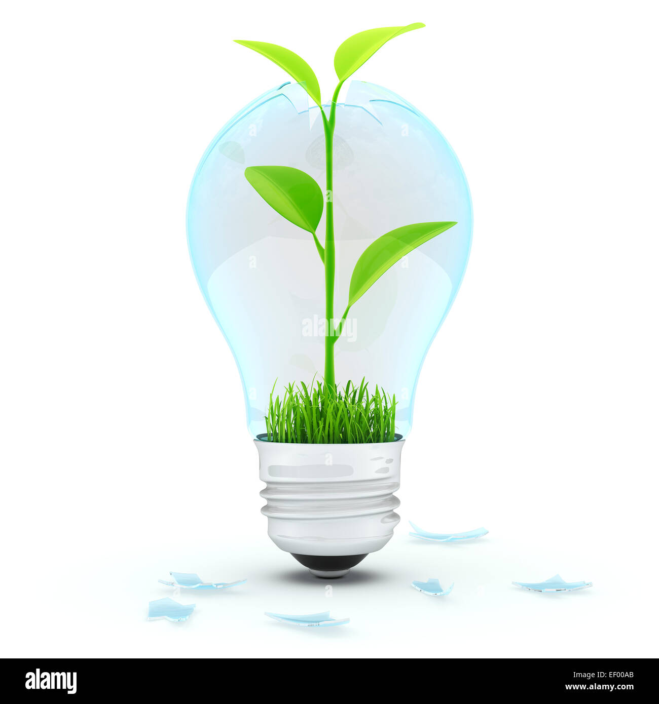 Ampoule avec plante verte à l'intérieur Banque D'Images