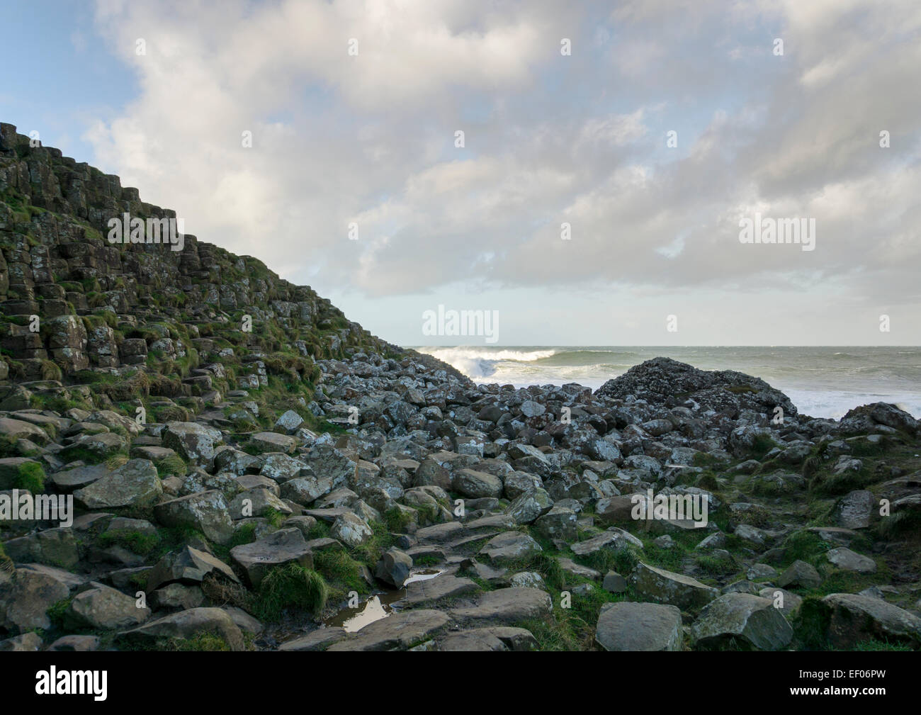 Giant's Causeway, l'Irlande du Nord Banque D'Images