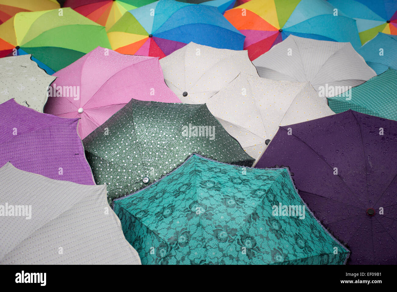 Parapluies sous la pluie Banque de photographies et d’images à haute