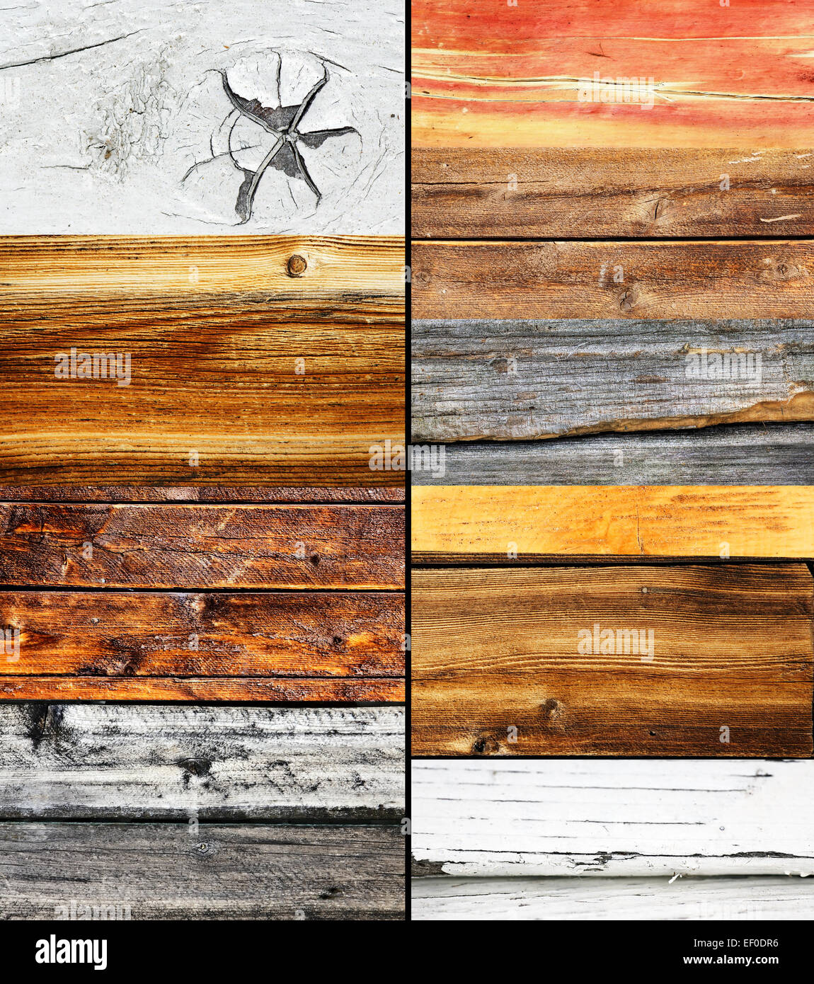 Collage de bois, différentes couleurs et texture nature background Banque D'Images