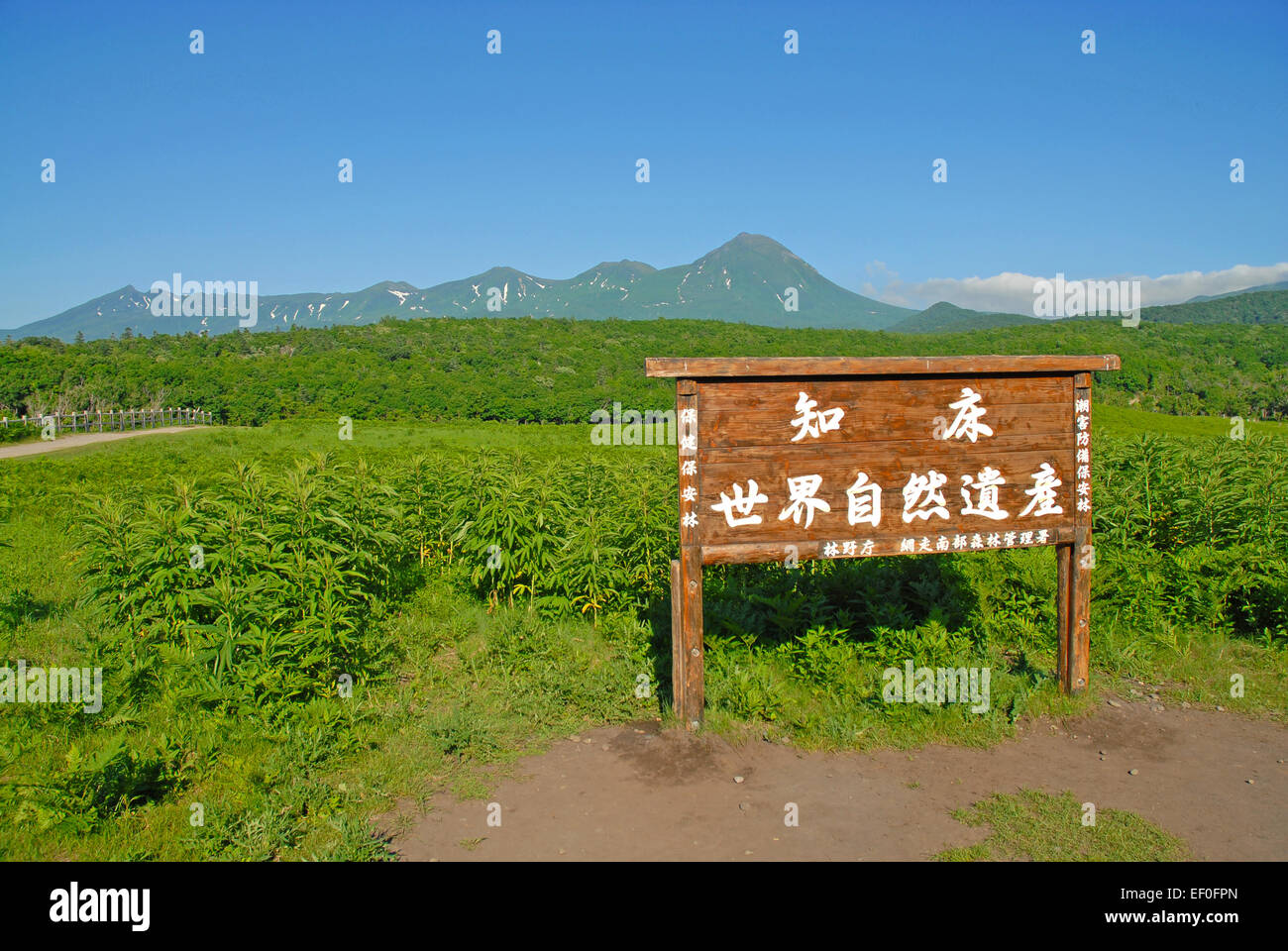 Le Parc National de Shiretoko, Hokkaido, Japon Banque D'Images