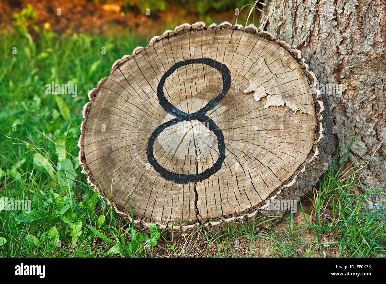 Une nuit sur un tronc d'arbre comme un numéro de maison. Banque D'Images