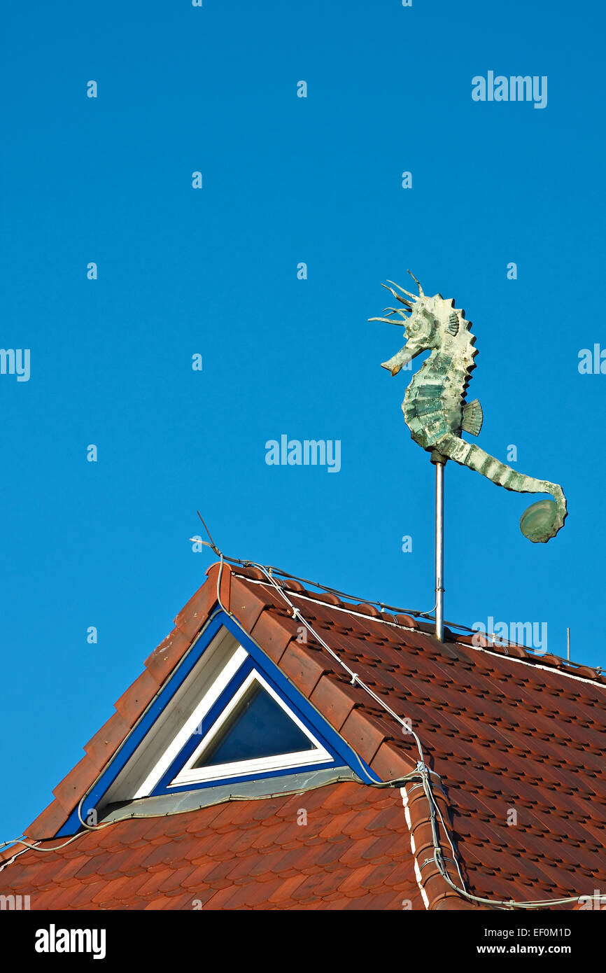 Un cheval de mer sur un toit. Banque D'Images