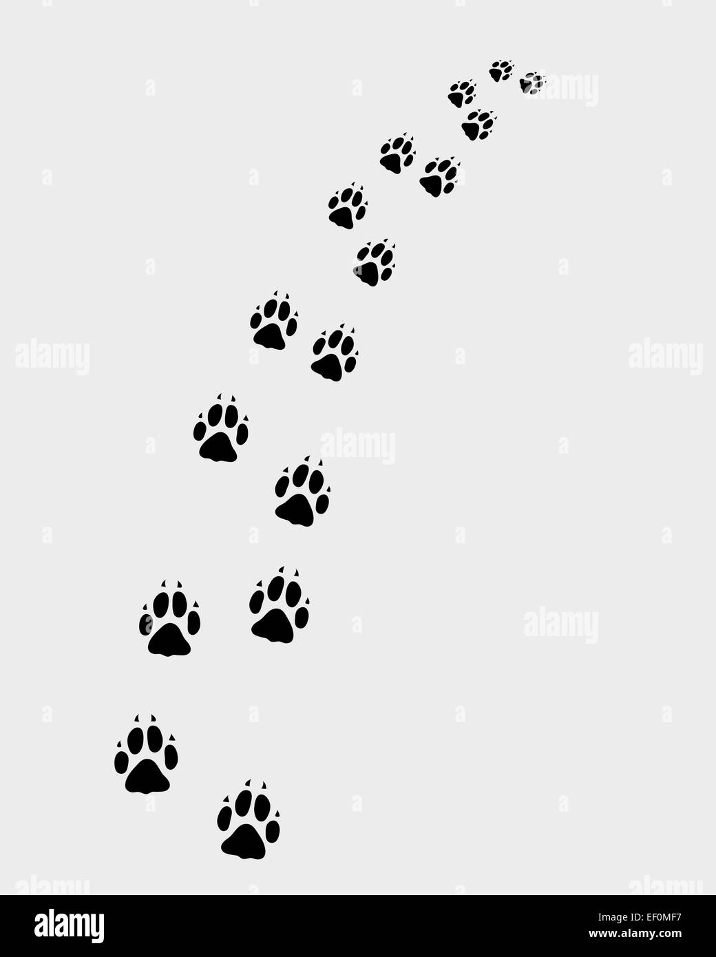 Empreintes de chien Photo Stock - Alamy