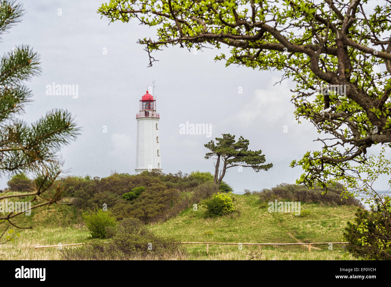 Le phare sur l'île de Hiddensee (Allemagne) Banque D'Images