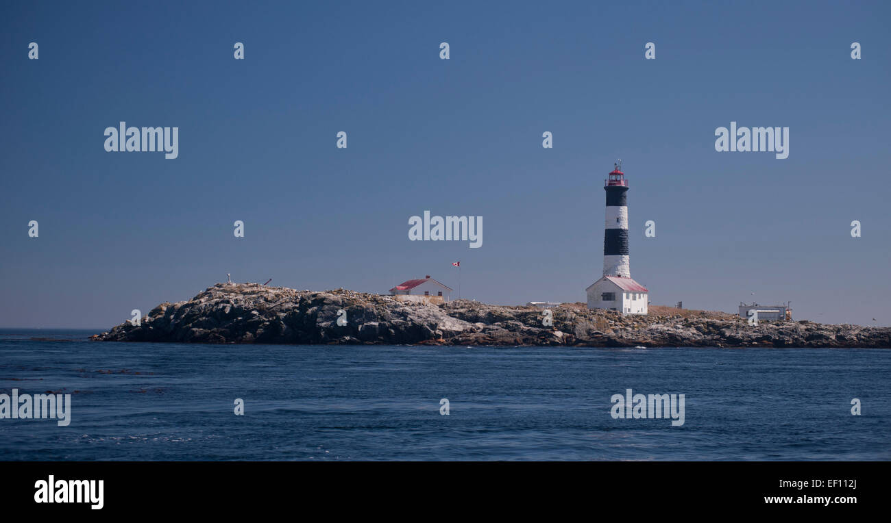 Phare, réserve écologique de Race Rocks, Victoria, Colombie-Britannique, Canada. Banque D'Images