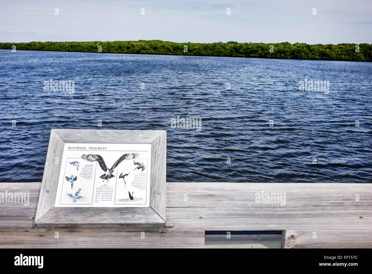 Riviera Beach Florida,North Palm Beach,John D. MacArthur Beach State Park,Lake Worth Lagoon,promenade,eau,nature,panneau,information,oiseaux,mangrove,FL1 Banque D'Images