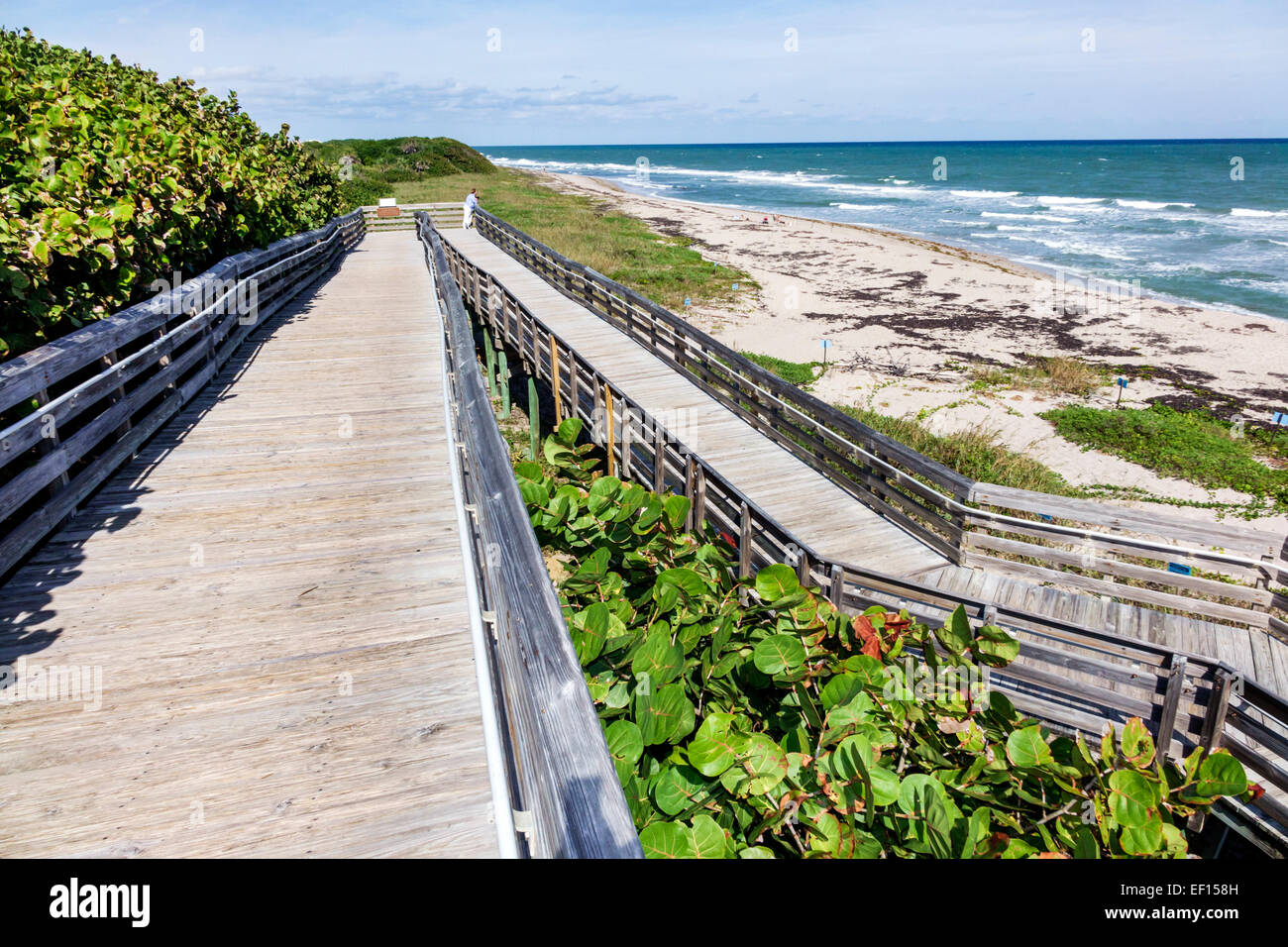 Riviera Beach Florida, North Palm Beach, John D. MacArthur Beach State Park, promenade, rampe pour fauteuils roulants handicapés, eau, nature, surf, océan Atlantique, plage Banque D'Images