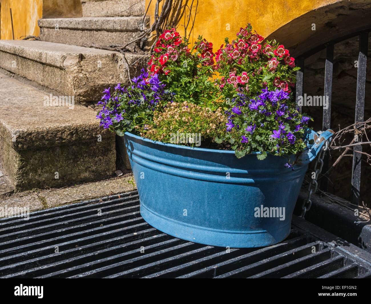 Pot de fleurs sur une entrée indépendante. Banque D'Images