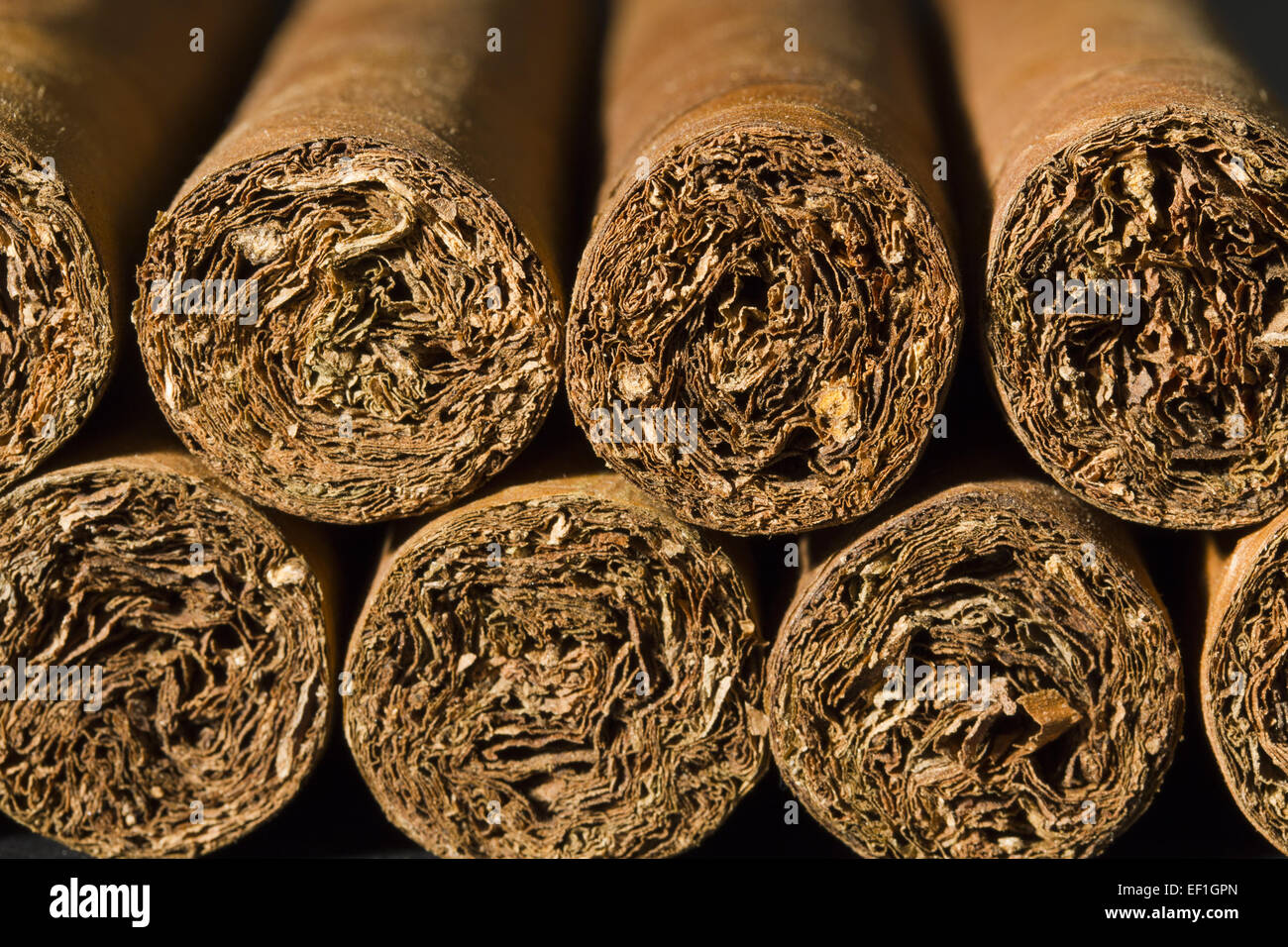 Une macro photo d'un paquet de cigares. Banque D'Images