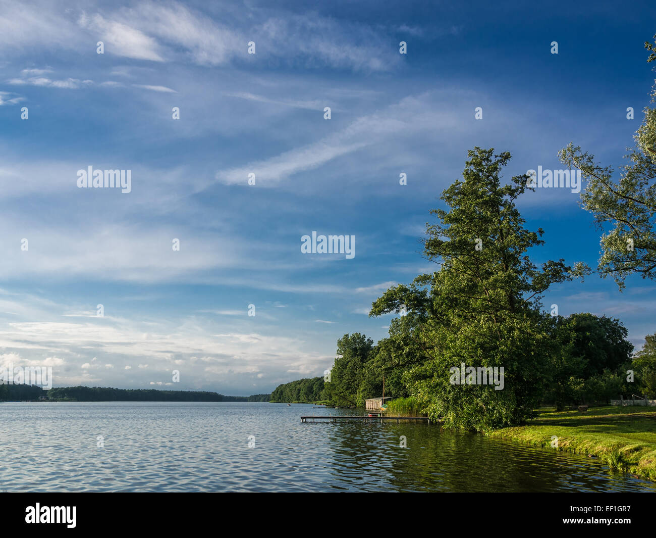 Arbres sur un lac. Banque D'Images