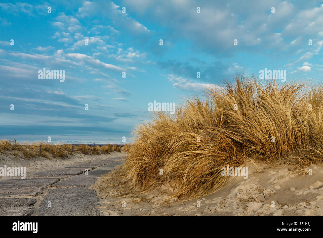 Une promenade dans la dune Banque D'Images