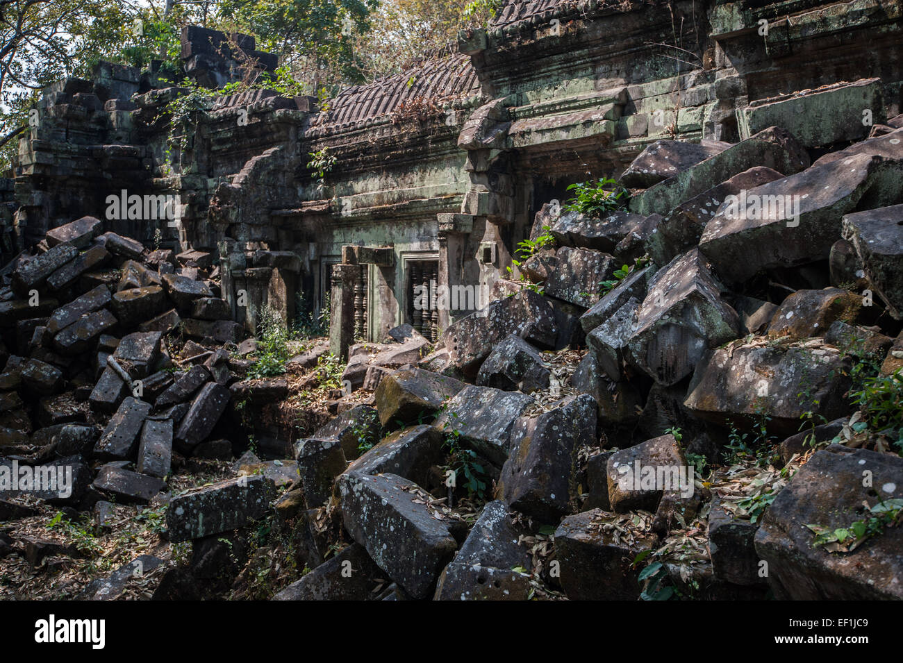 Blocs de pierre tombés au temple en ruines Beng Mealea, 40 km à l'est du principal complexe d'Angkor Wat. Banque D'Images