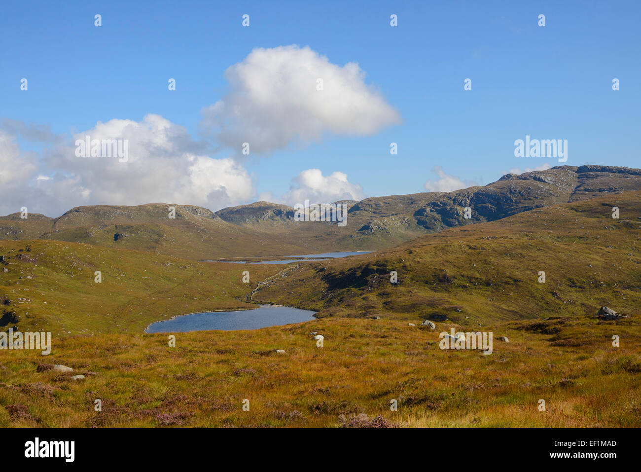 Vue depuis l'age de l'Jarkness vers Loch Valley, Loch Neldricken et Craignaw, Galloway Hills, Dumfries et Galloway, Écosse Banque D'Images