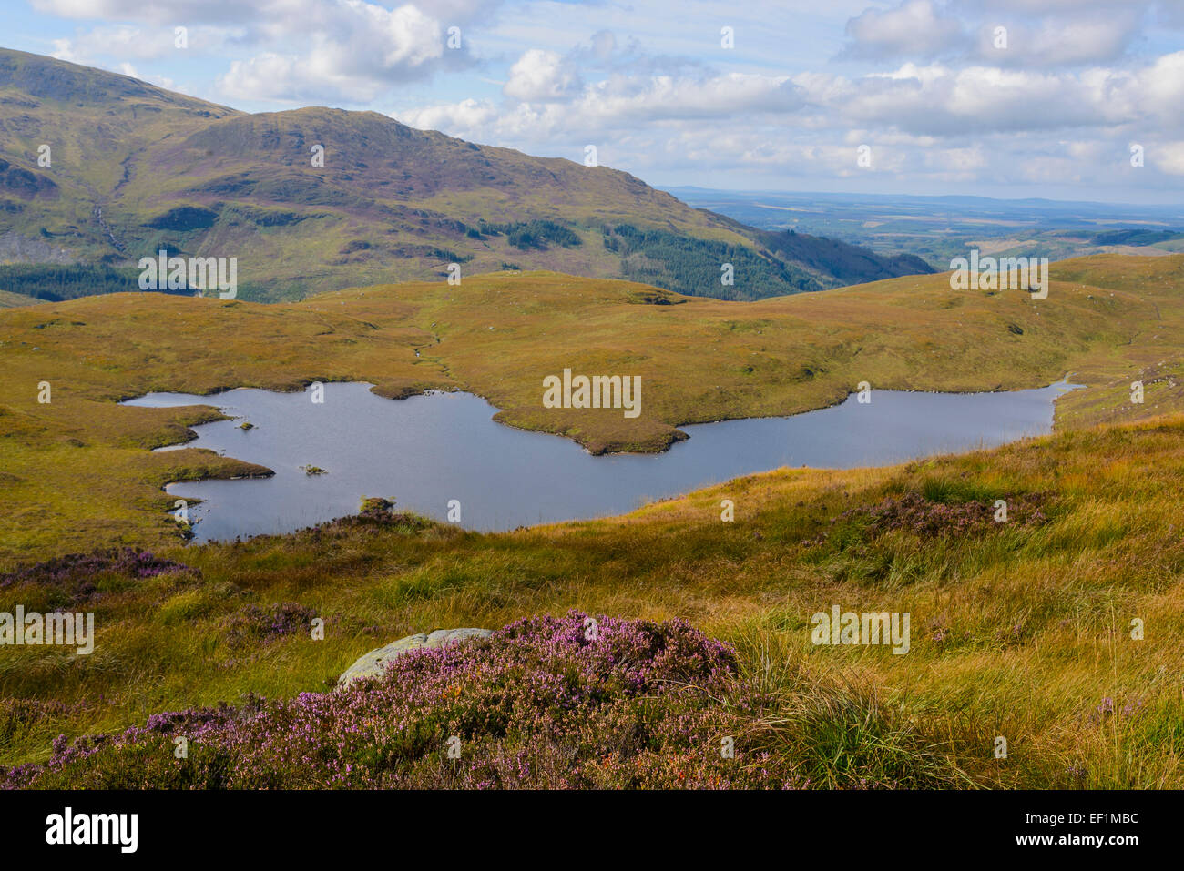 Le Loch long d'Glenhead Jarkness à partir de l'age de l', Galloway Hills, Dumfries et Galloway, Écosse Banque D'Images