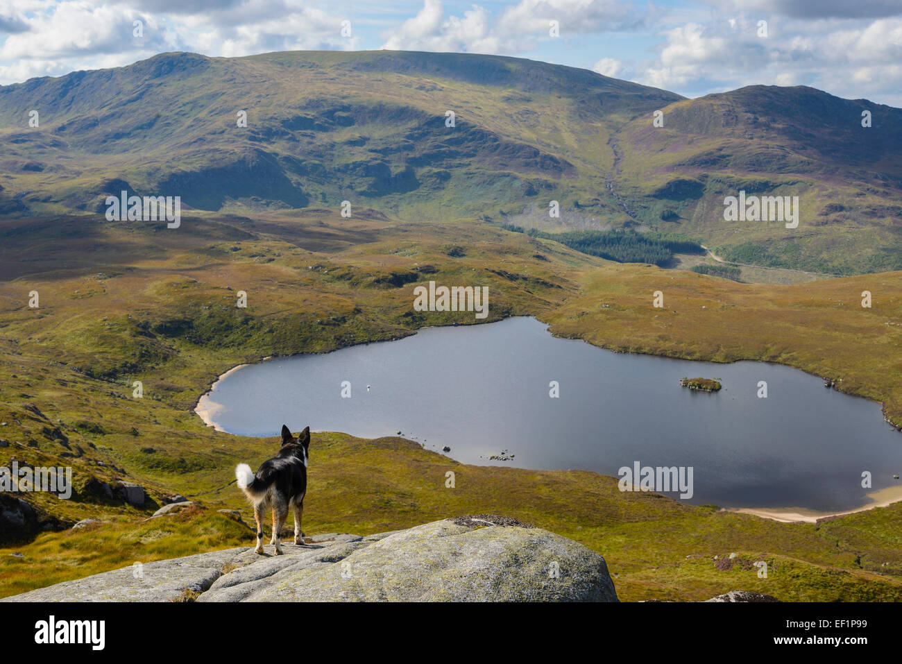 Tour de forage de Glenhead Loch de l'Jarkness, Galloway Hills, Dumfries et Galloway, Écosse Banque D'Images