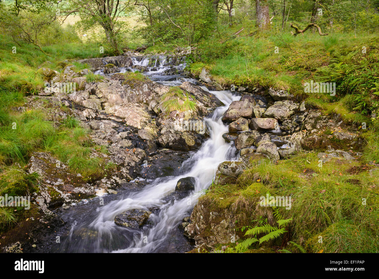 Gairland brûler, près de Loch Trool, Galloway Hills, Dumfries et Galloway, Écosse Banque D'Images