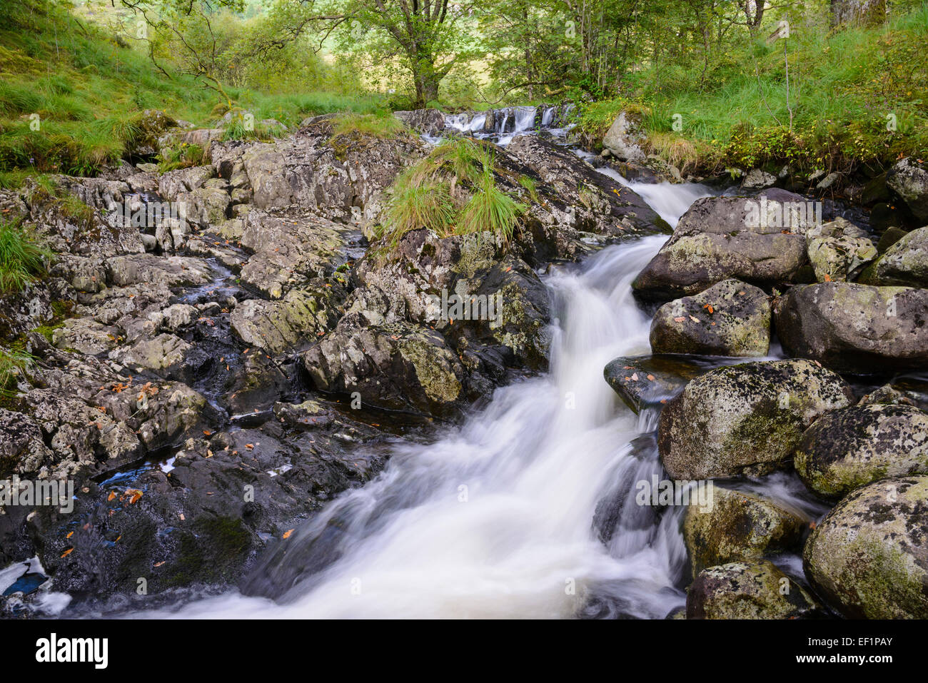 Gairland brûler, près de Loch Trool, Galloway Hills, Dumfries et Galloway, Écosse Banque D'Images