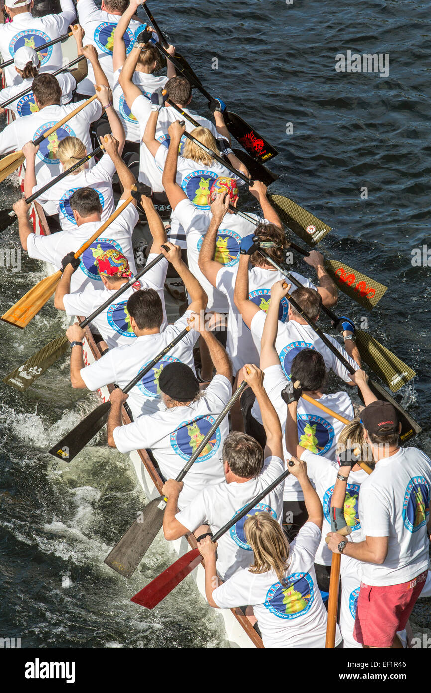 Dragon Boat Race, tournoi sur la rivière Ruhr, à Mülheim, Allemagne Banque D'Images