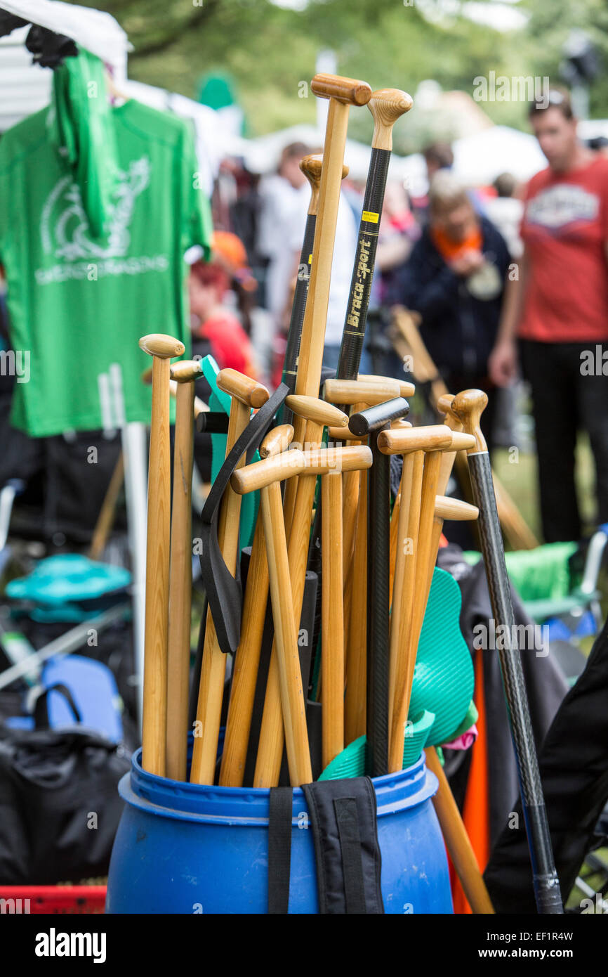 Dragon Boat Race, tournoi sur la rivière Ruhr, à Mülheim, Allemagne Banque D'Images