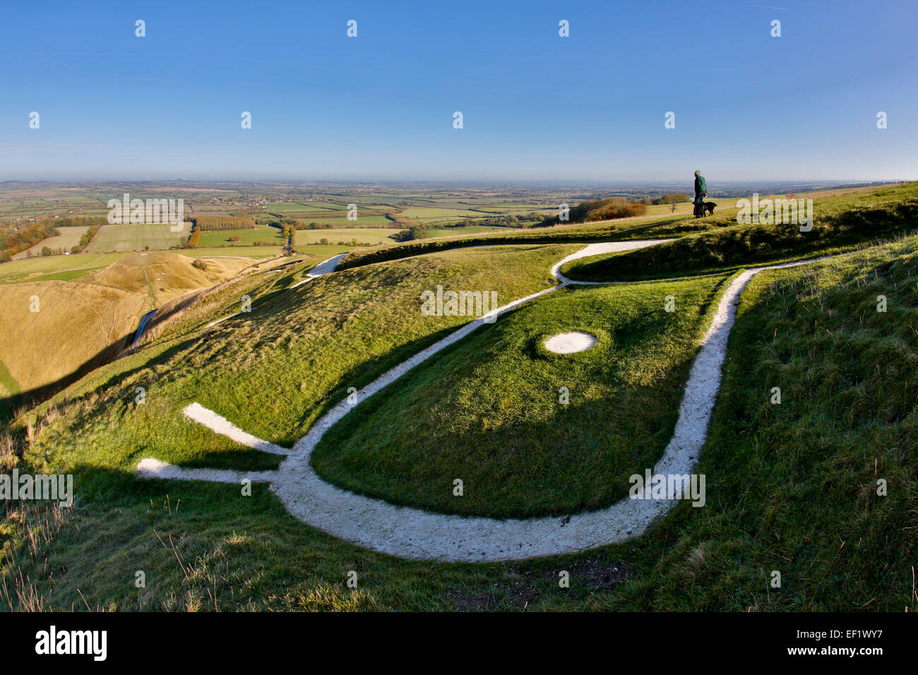 Tête de cheval blanc Uffington Section Bronze Age Oxfordhire ; UK Banque D'Images