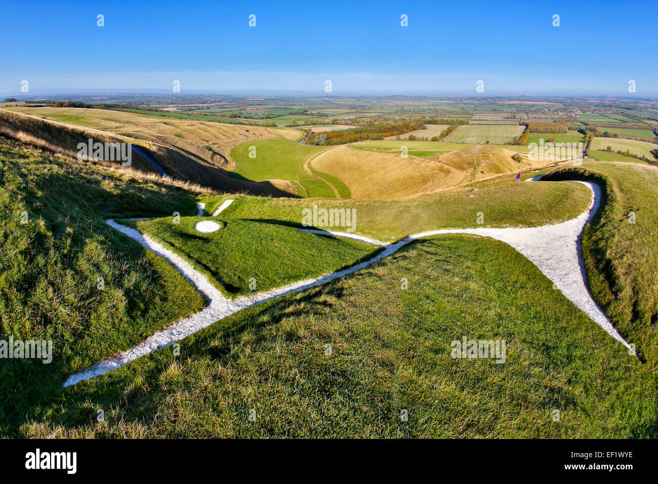 Tête de cheval blanc Uffington Section Bronze Age Oxfordhire ; UK Banque D'Images