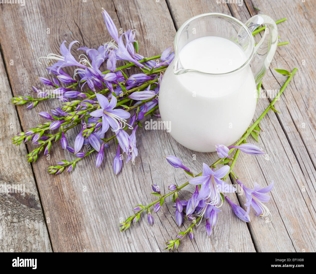 Pot à lait et bluebell flowers bouquet sur table rustique en bois Banque D'Images