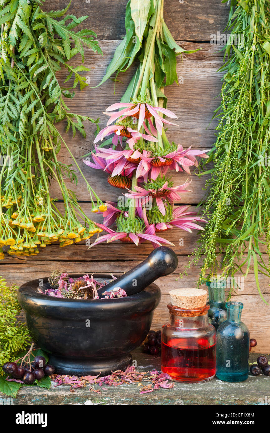 Bouquets d'herbes curatives sur mur en bois, pierre noire de mortier et de bouteilles en verre, phytothérapie Banque D'Images