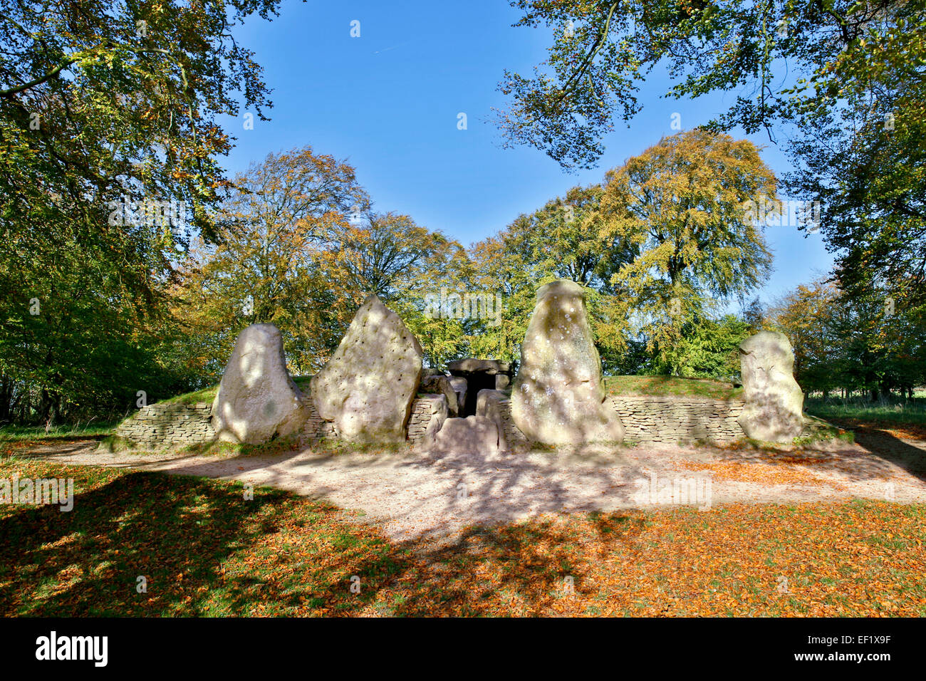 Wayland's Smithy Néolithique Long Barrow ; Ashbury Oxfordshire, UK Banque D'Images