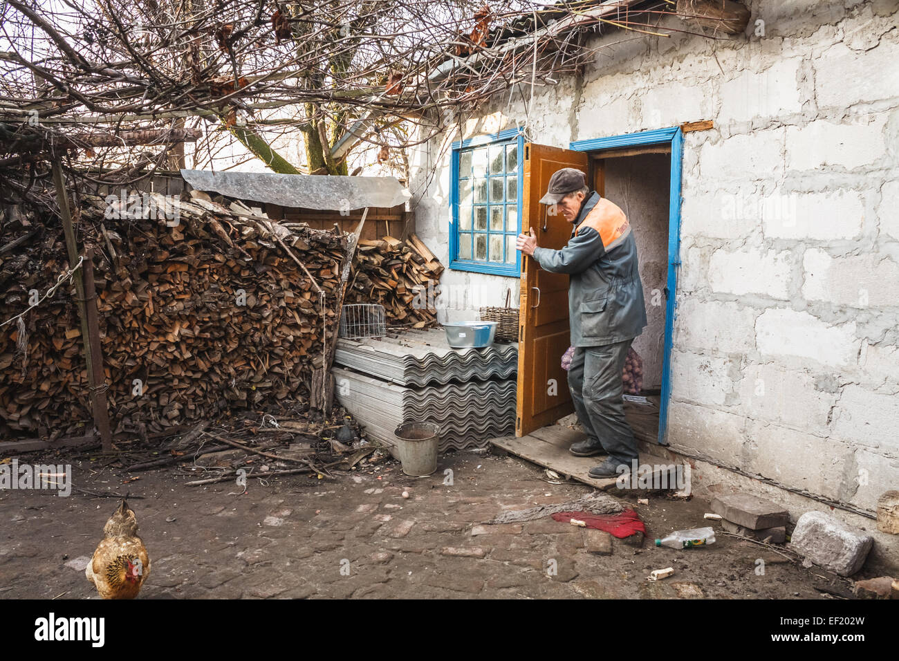 Homme âgé Bélarus fait un sac de pommes de terre de son village à la maison. Village près de Biélorusse Minsk en automne. Banque D'Images