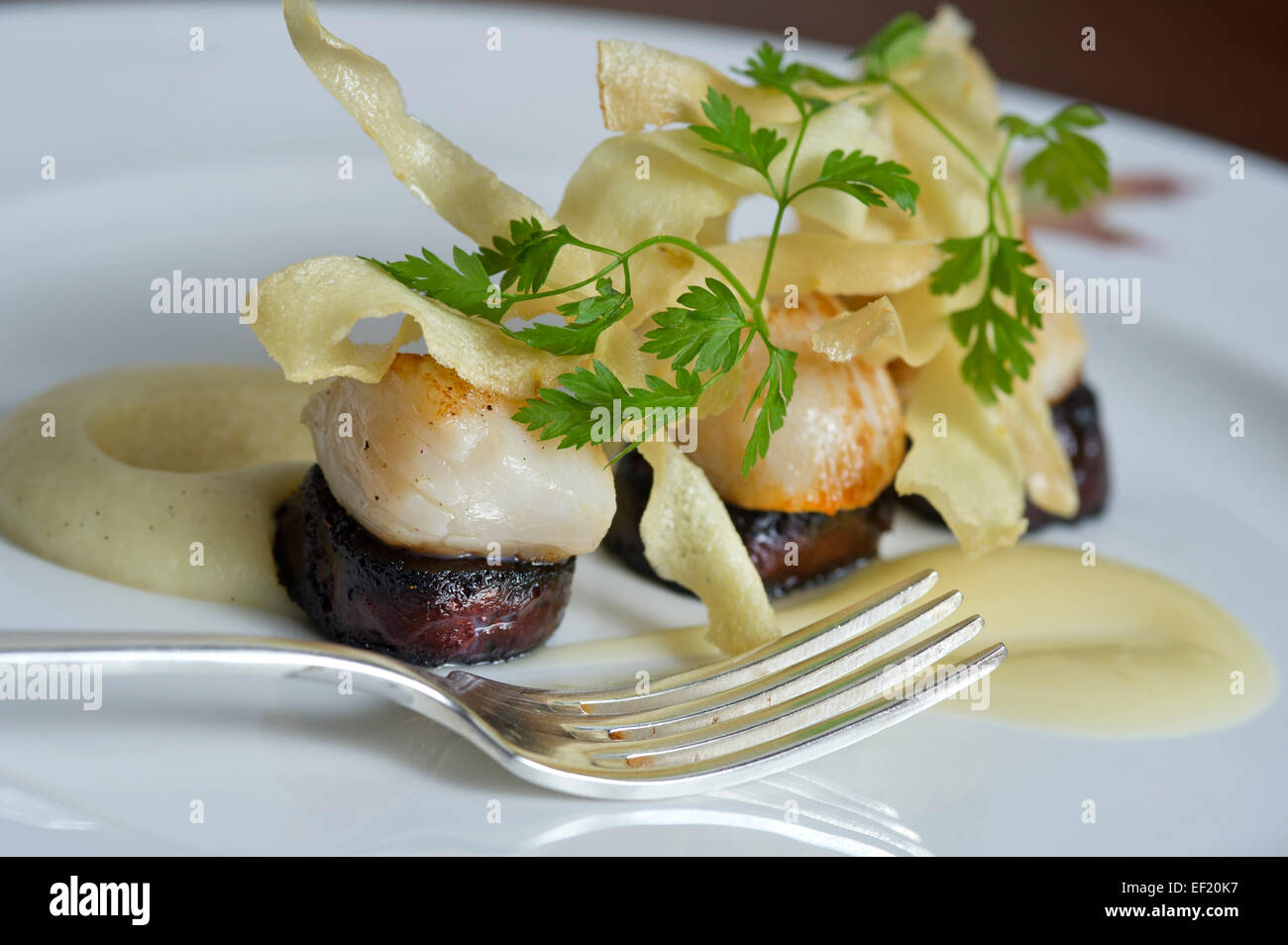 Le restaurant de l'hôtel Endsleigh, près de Tavistock, Devonshire. Banque D'Images