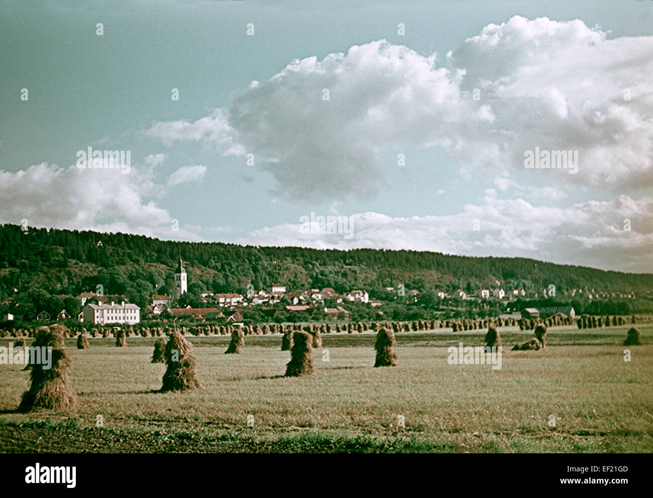 Gränna, un village de Småland, en Suède, est représenté ici dans une photographie montrant son paysage pittoresque et son ciel étendu. Connue pour sa beauté naturelle, Gränna est un lieu suédois historiquement important. Banque D'Images