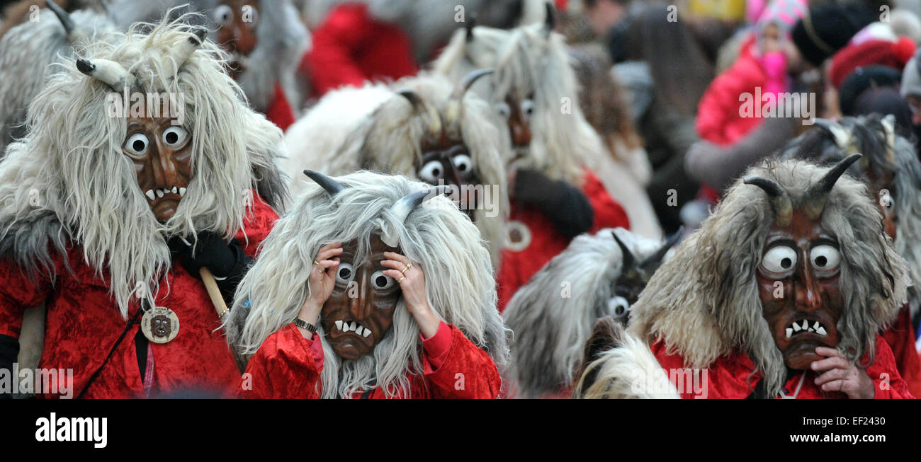 Les fous se déplacent à travers le centre-ville de Stuttgart, Allemagne, 25 janvier 2015. Des milliers d'Haestraeger" (personnes en costumes de carnaval) à partir de l'Swabian-Alemannic Fastnacht (Mardi Gras) ont pris part à la "Narrensprung" (lit. fools jump) de l'Ulm Narrenzunft (lit. fools guild). Photo : STEFAN UDRY/dpa Banque D'Images