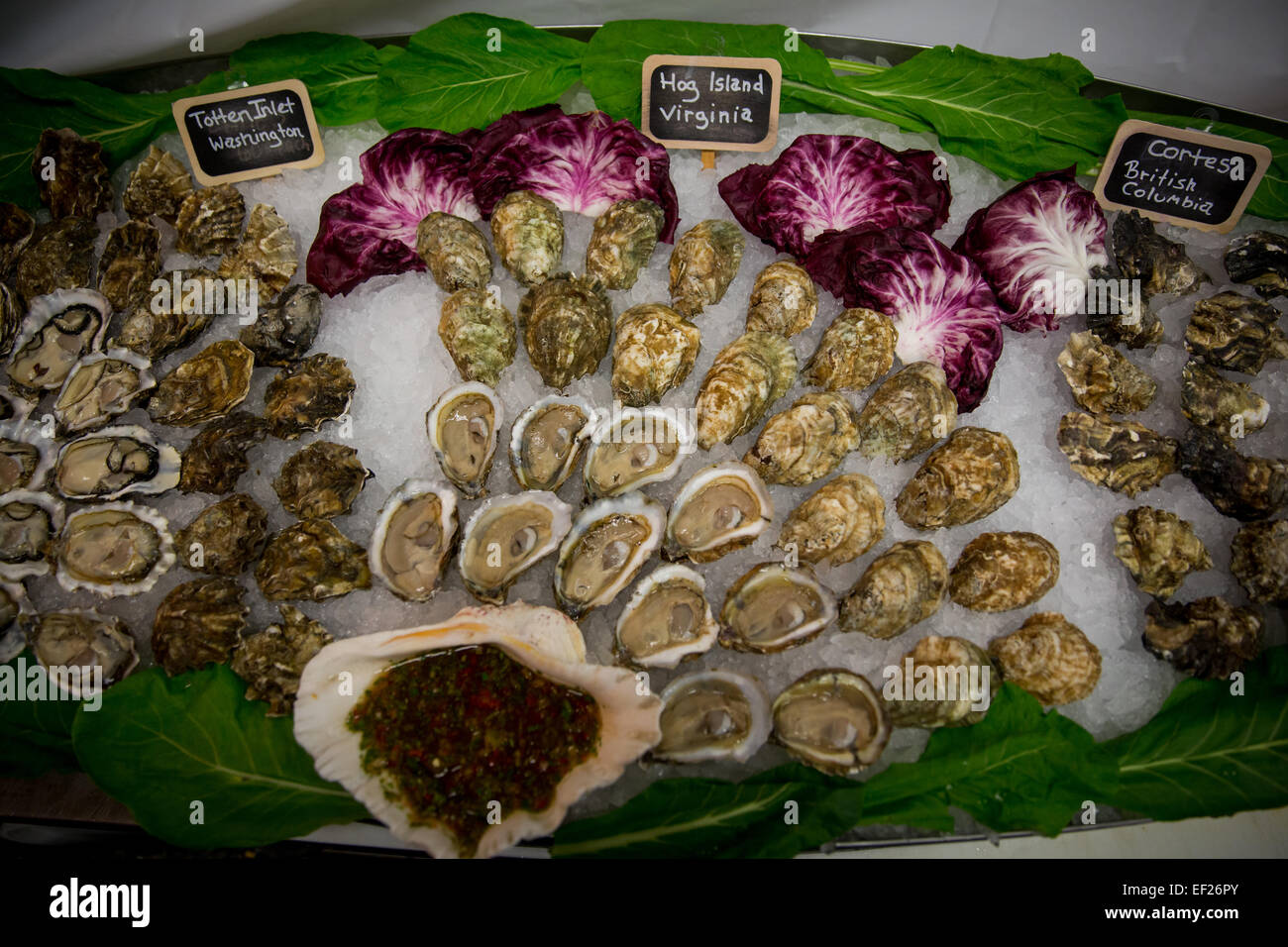 Le raw bar avec (de gauche à droite), d'admission Totten Hog Island et Cortes les huîtres à Mount Kisco en fruits de mer Mount Kisco, new York. Photo par Banque D'Images