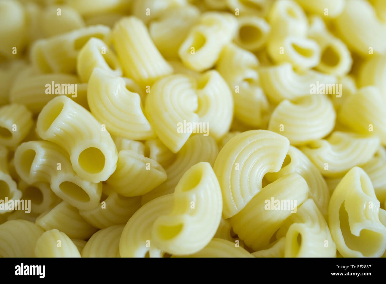 macaronis cuits Banque D'Images