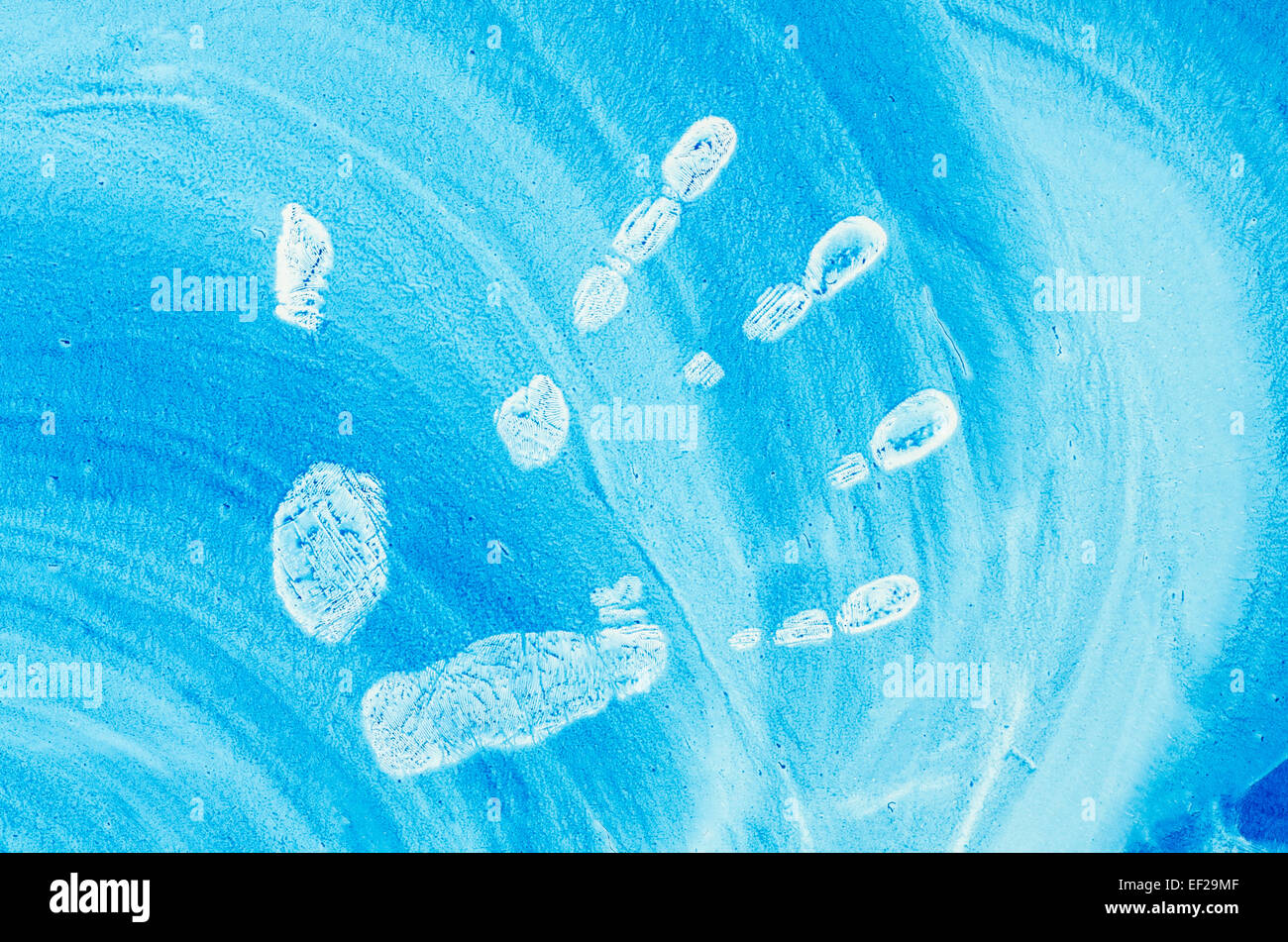 Les droits de l'palm imprimer sur fond bleu Banque D'Images