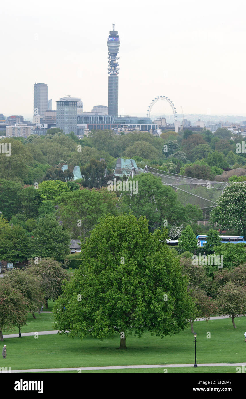 La vue de Primrose Hill, à Londres, en Angleterre. Banque D'Images