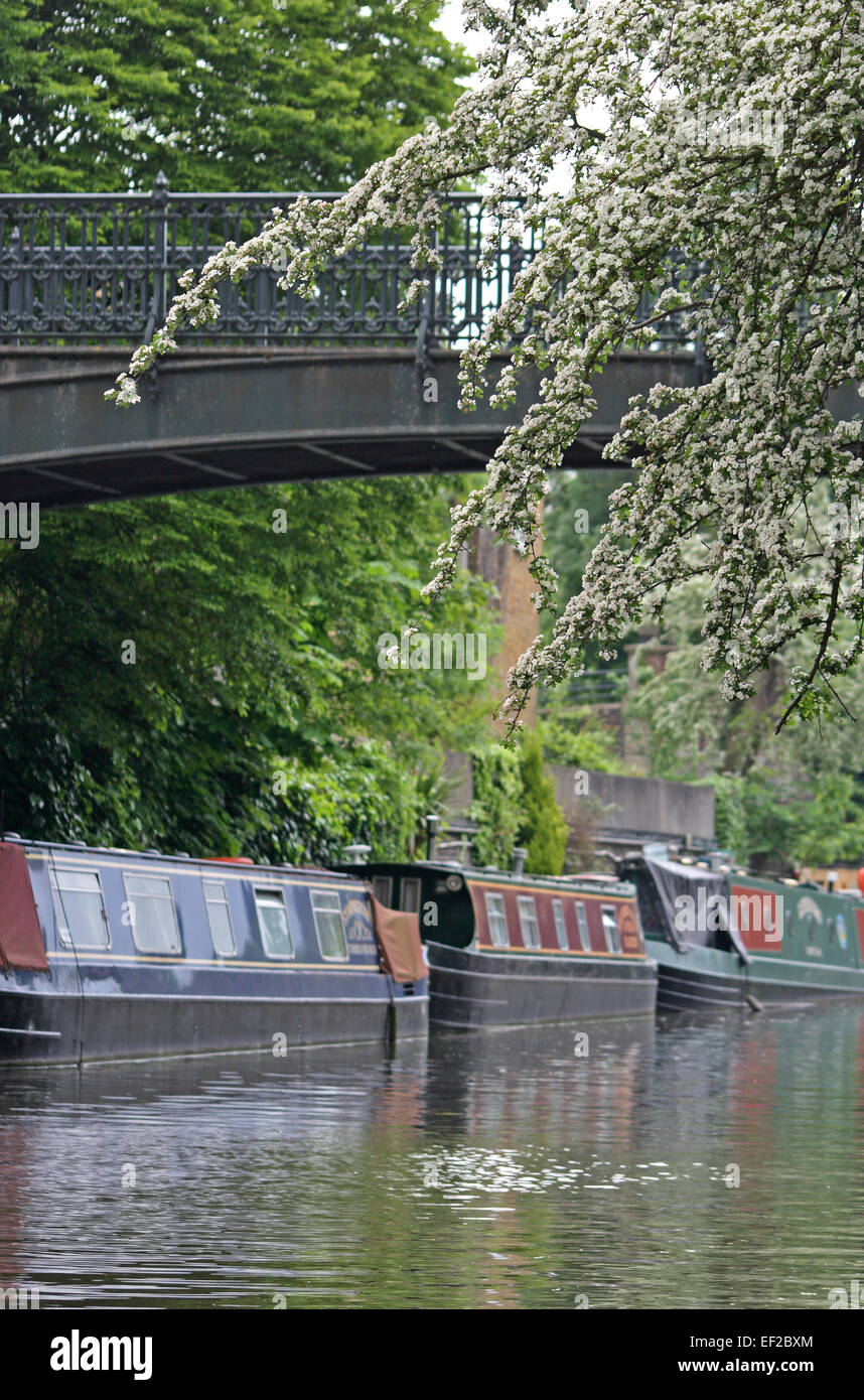 Les canaux de Camden, à Londres, en Angleterre. Banque D'Images