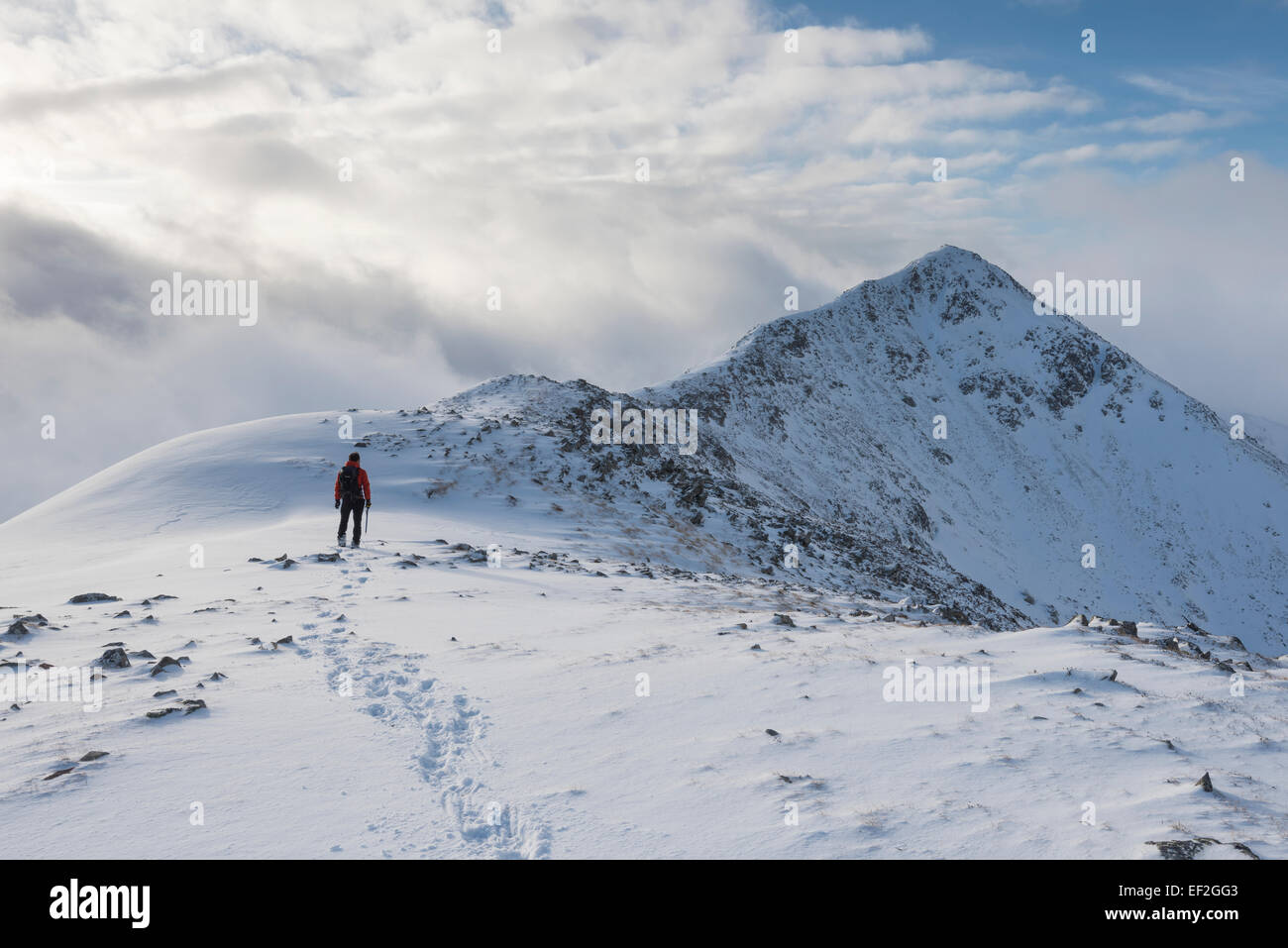 Walker sur la crête du sommet enneigé du Buachaille Etive Beag, Glencoe, les Highlands écossais Banque D'Images