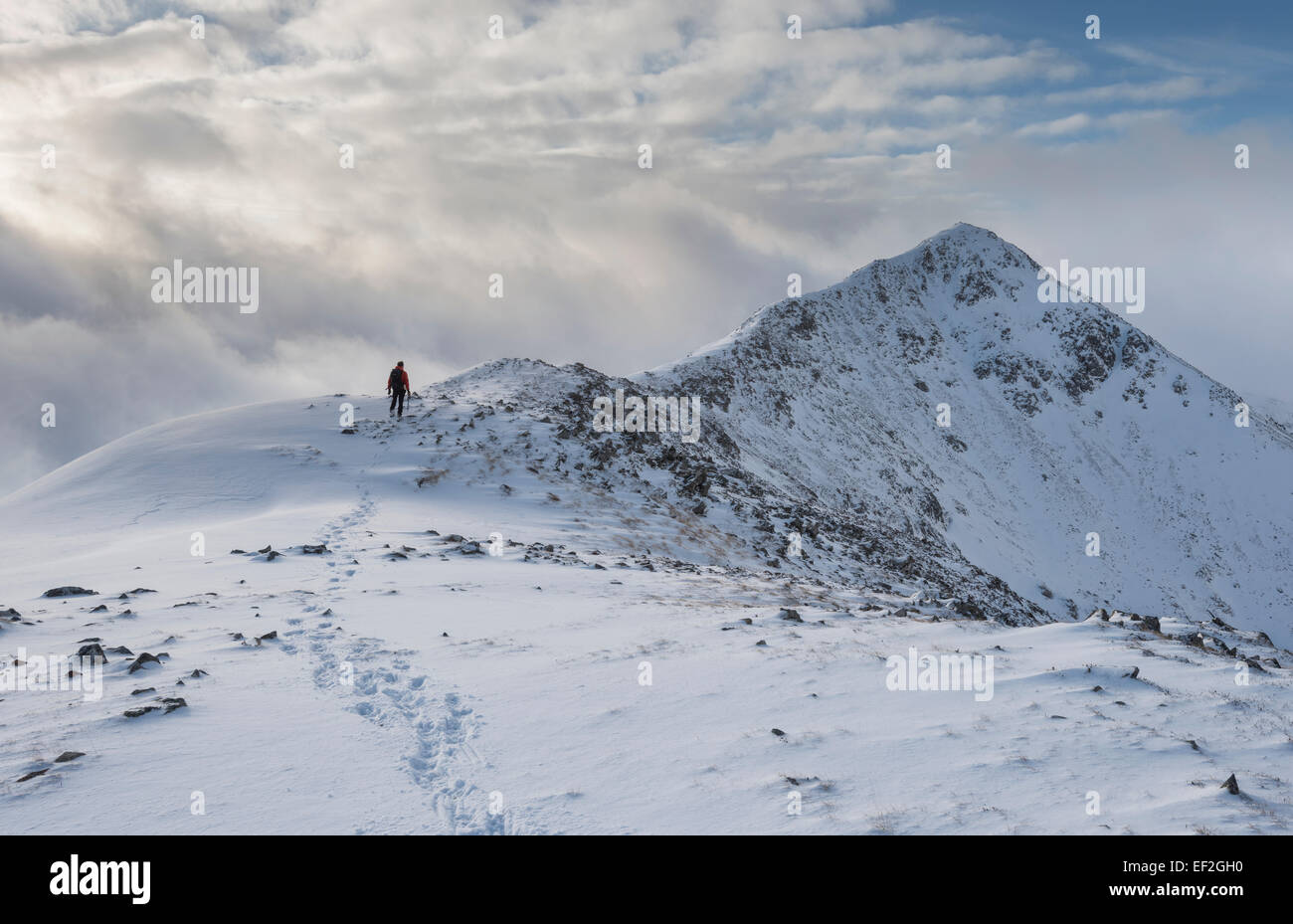 Walker sur la crête du sommet du Buachaille Etive Beag Dubh en direction de Stob, Glencoe, Ecosse Banque D'Images