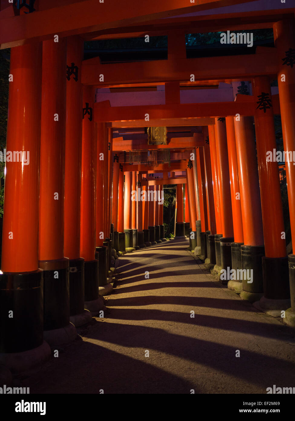 Fushimi-Inari Taisha Temple-tunnel tori rouge ombre à la nuit Banque D'Images