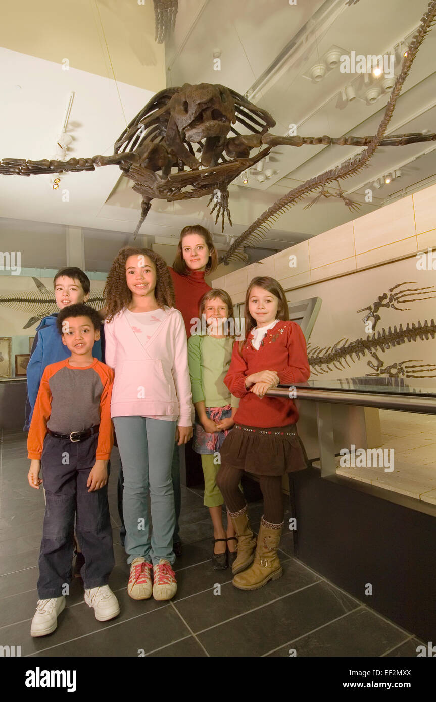 L'enseignant et les étudiants en musée par le fossile de dinosaure afficher Banque D'Images