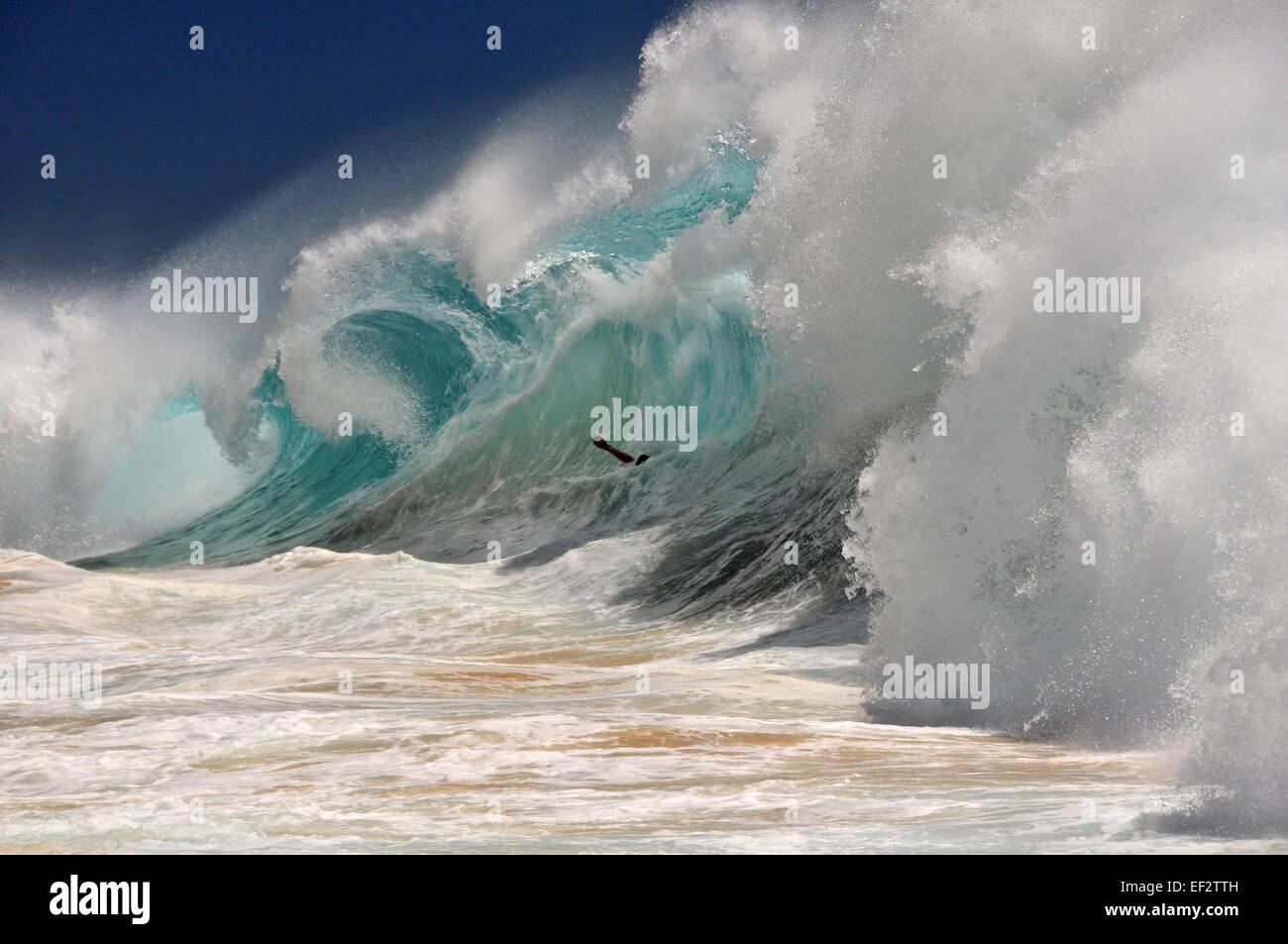 Houle géante à Sandy's beach, Oahu, Hawaii, USA Banque D'Images