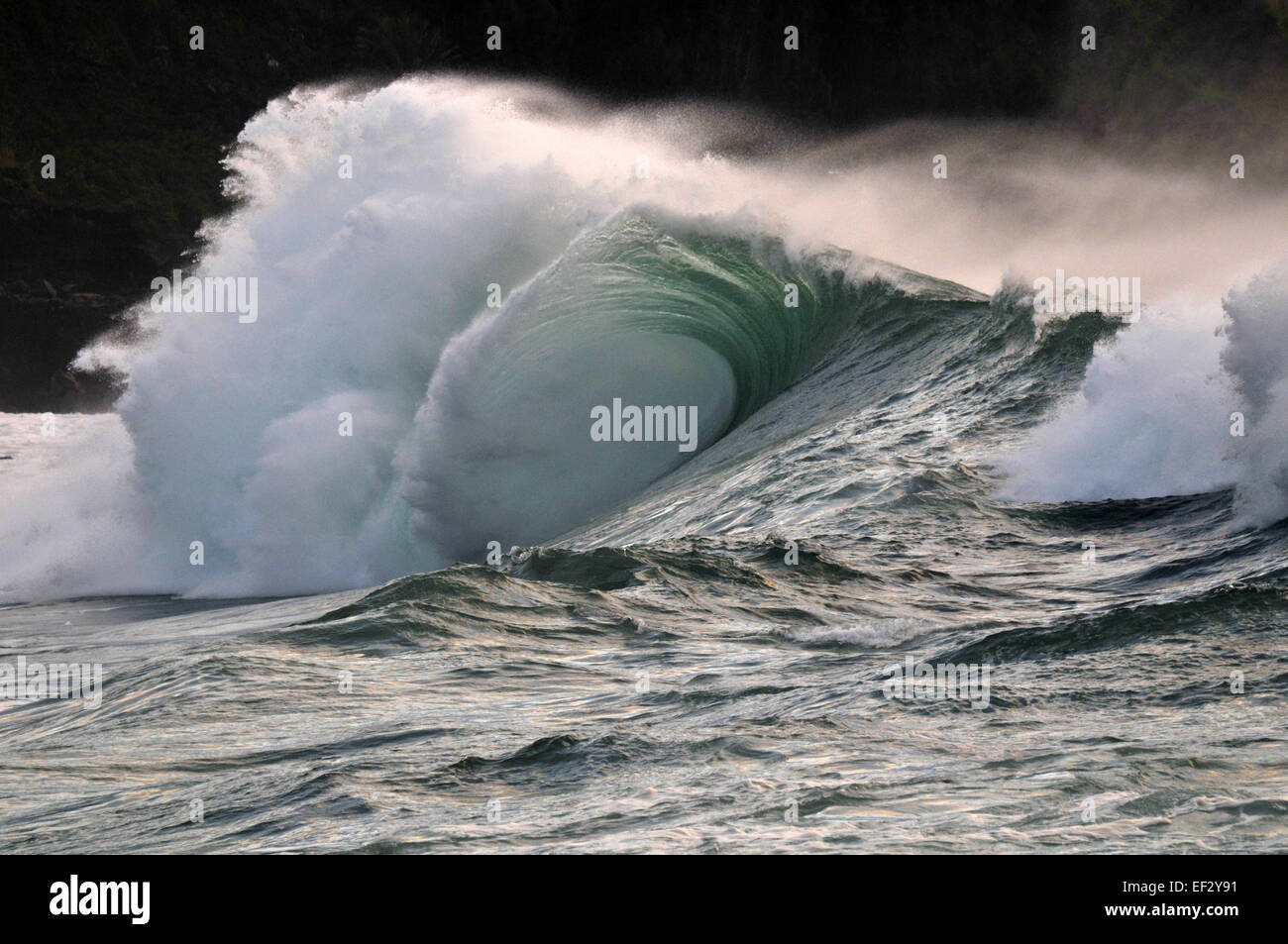 Houle géante, Waimea Bay, Oahu, Hawaii Banque D'Images