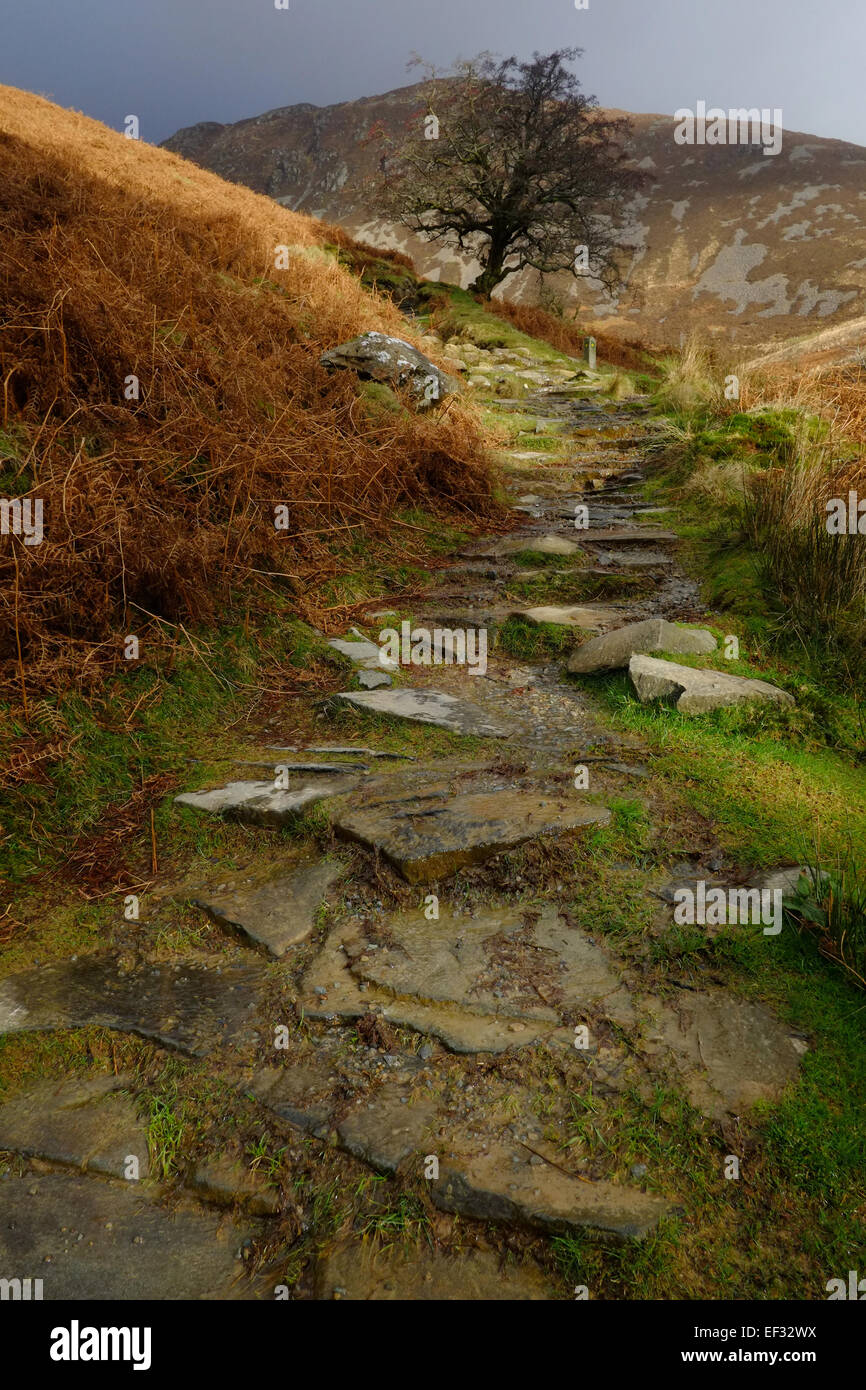 Monter Cadair Idris en hiver Banque D'Images