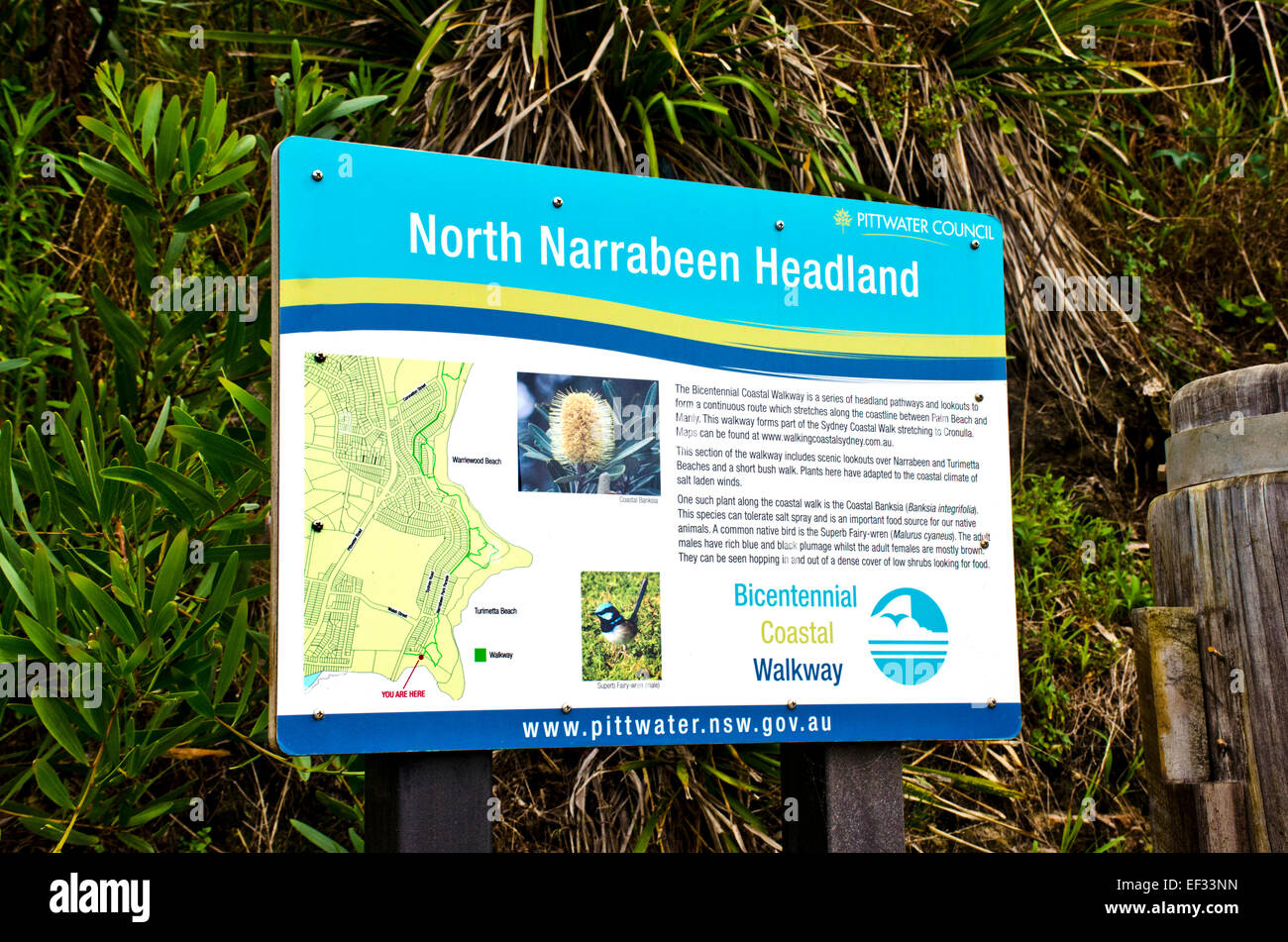 Inscrivez-vous à la base de North Narrabeen pointe avec la carte et de l'information Banque D'Images