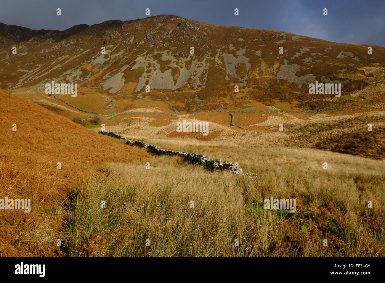 Monter Cadair Idris en hiver Banque D'Images