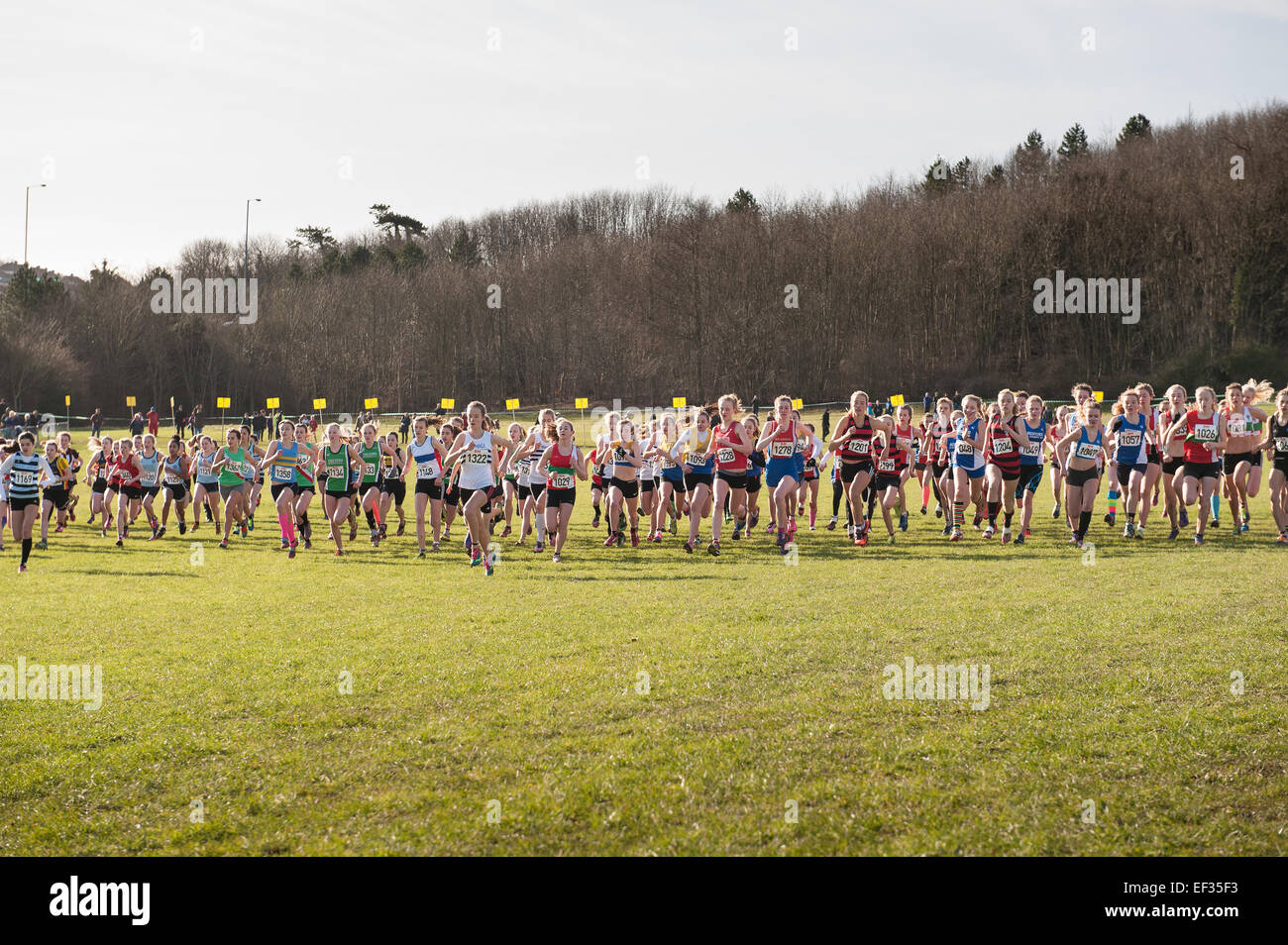 Sud de l'Angleterre de cross-country Stanmer Park 2015 essais et courses pour la sélection nationale Banque D'Images Sud de l'Angleterre de cross-country Stanmer Park 2015 essais et courses pour la sélection nationale Banque D'Images