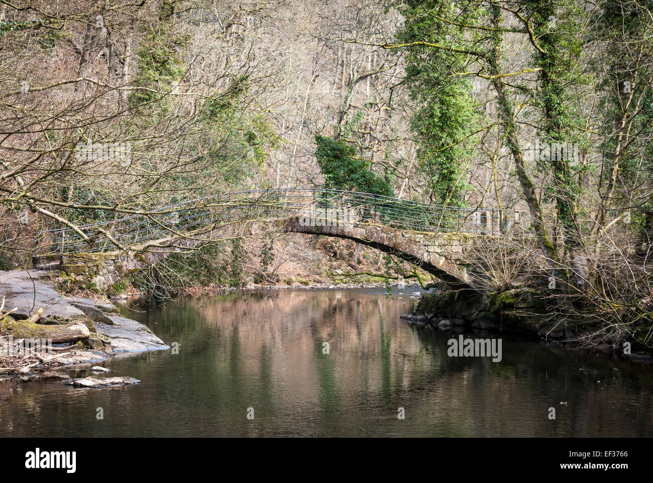 Passerelle au-dessus de la rivière près de Goyt Marple dans Cheshire, Angleterre. Pentes boisées raides derrière. Lierre sur les arbres. Banque D'Images
