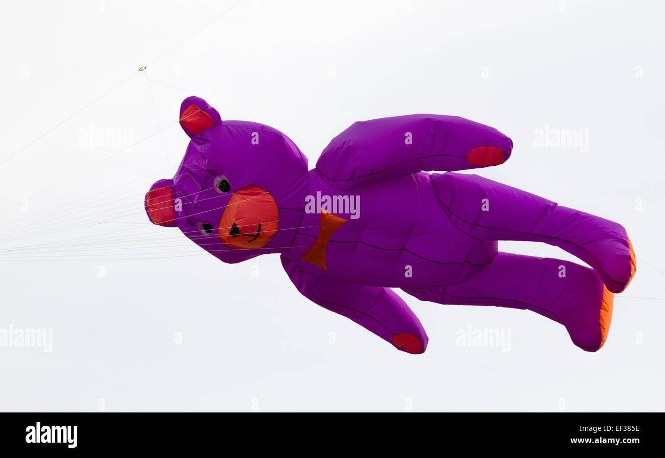 Un cerf-volant d'un gros ours violet Banque D'Images